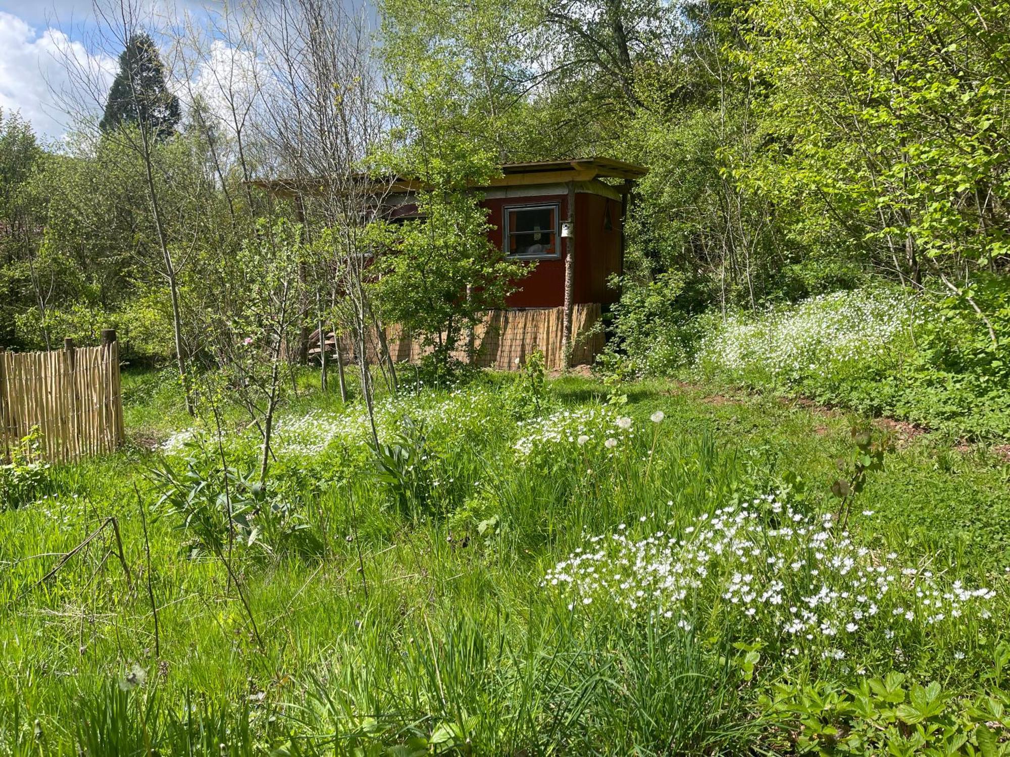 Kuscheliger Zirkuswagen Im Wildgarten Witzenhausen Exteriör bild
