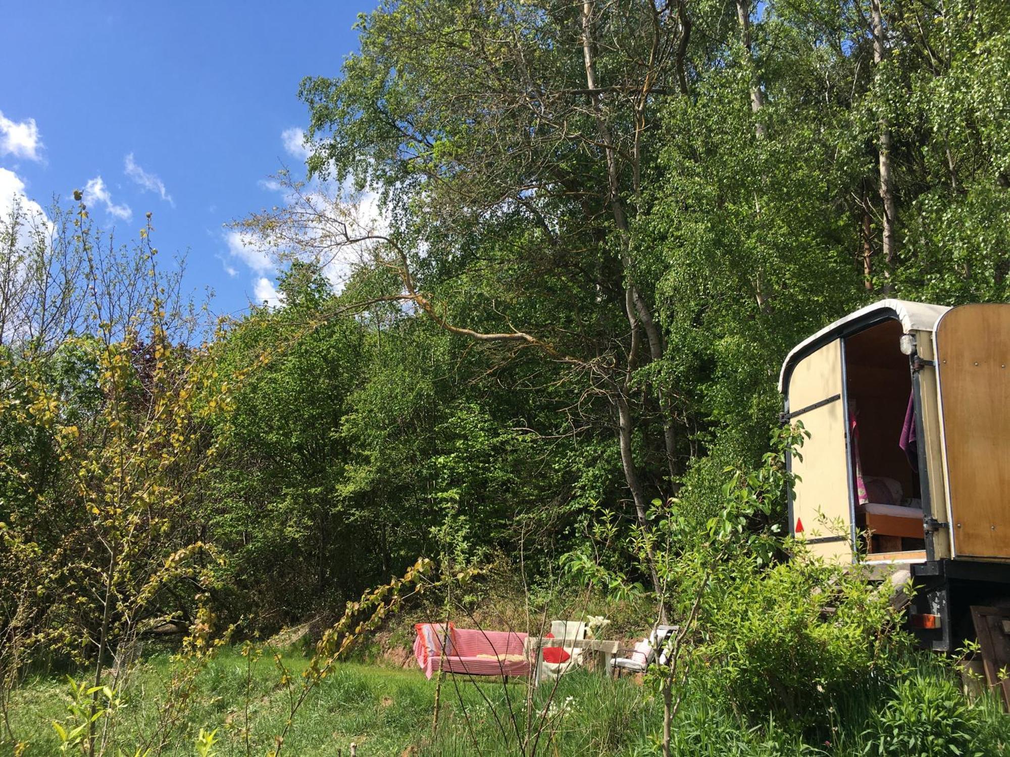 Kuscheliger Zirkuswagen Im Wildgarten Witzenhausen Exteriör bild